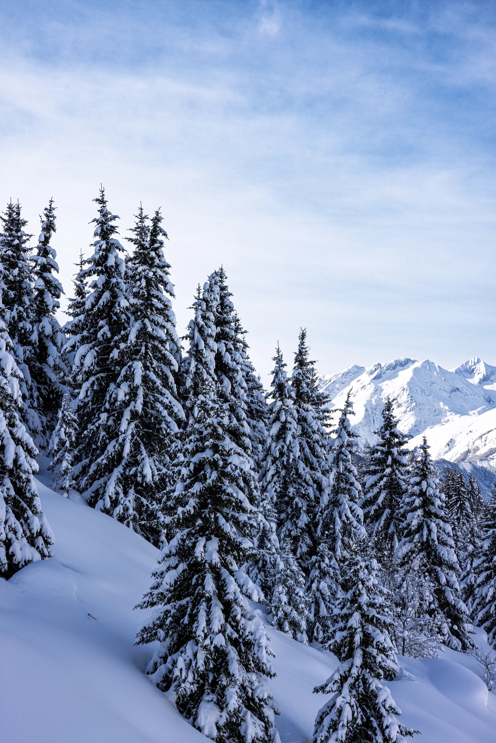Sunweb · Winter campaign ’26 · 31